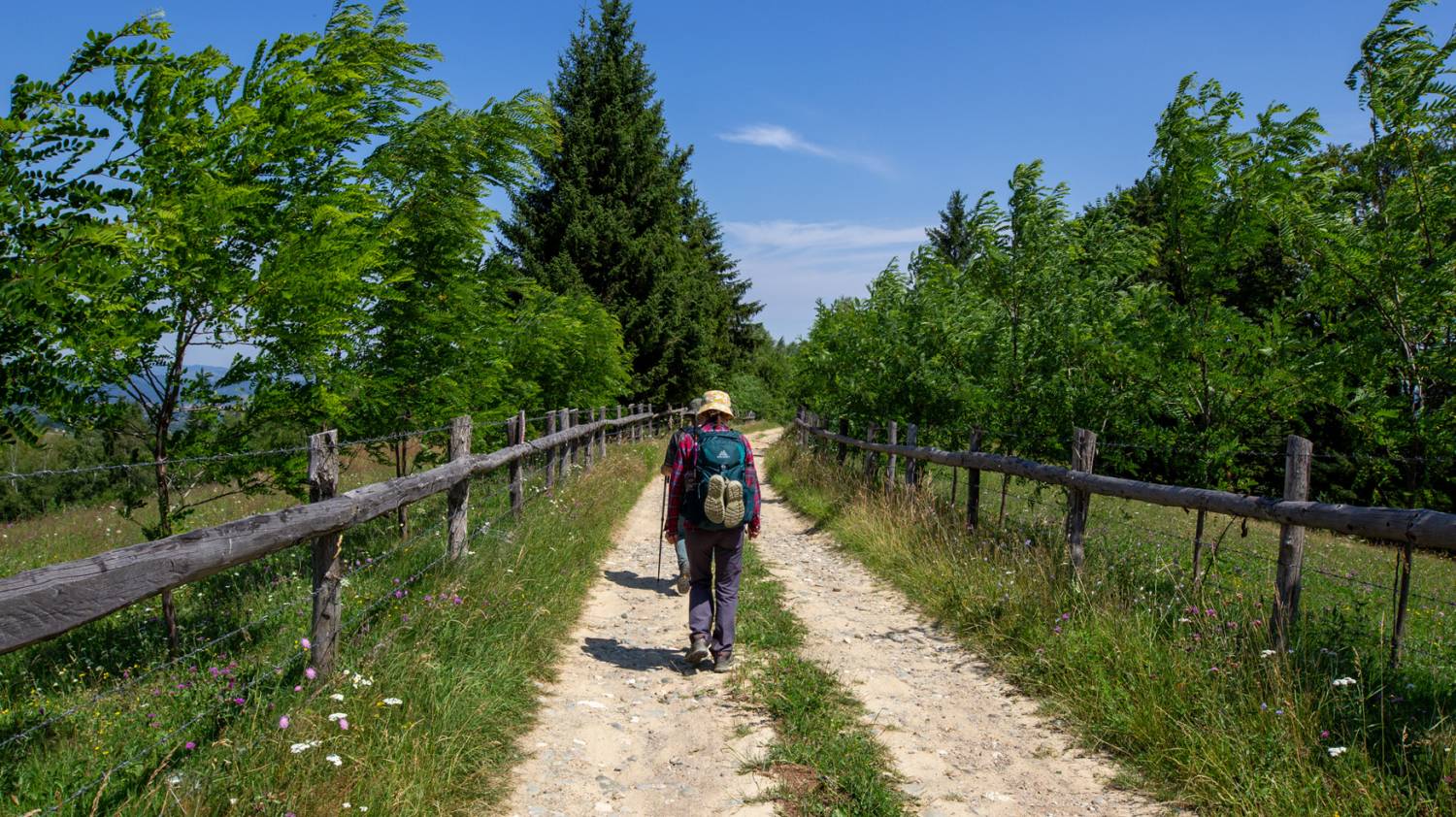 Terra Borza Teutonica